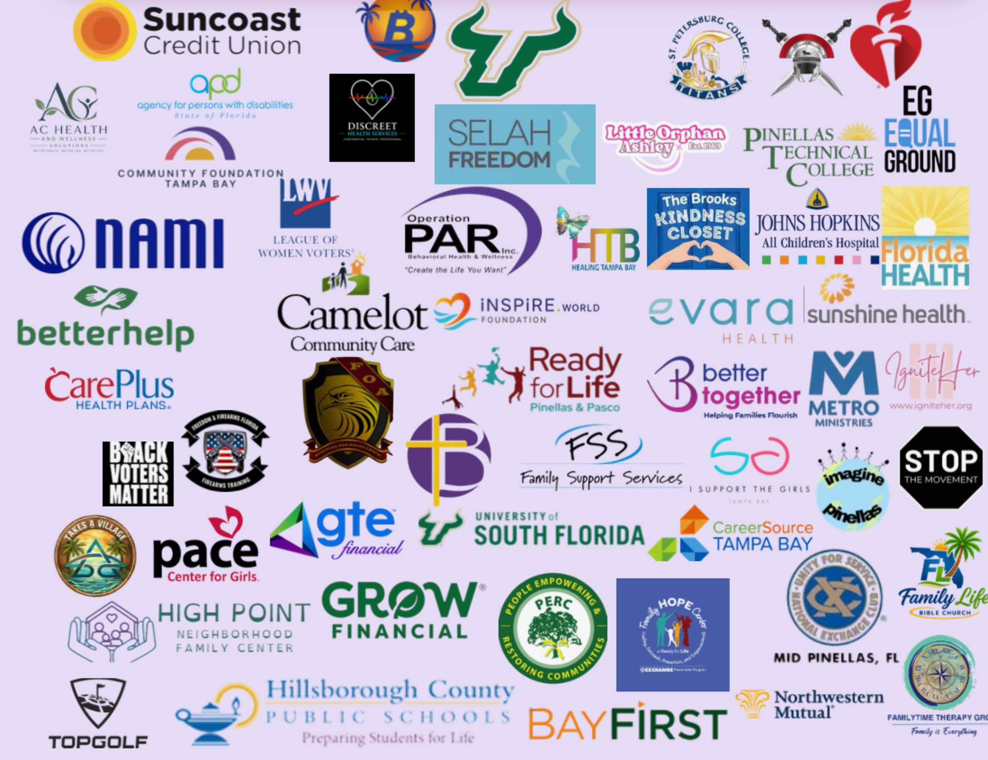 Logos of C.A.L.I. Project community partners, including Suncoast Credit Union, USF, NAMI, Johns Hopkins All Children's Hospital, Florida Health, CareerSource Tampa Bay, Hillsborough County Public Schools, Topgolf and more