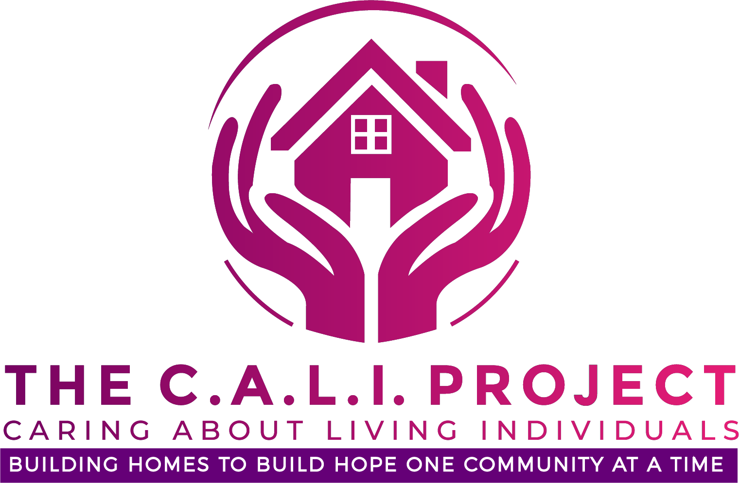 The C.A.L.I Project_d00c_002a2 updated one